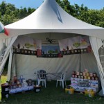 sabora_ovcevadi_2015_03